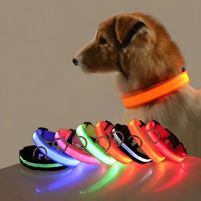 Lysende LED-halsbånd for hund