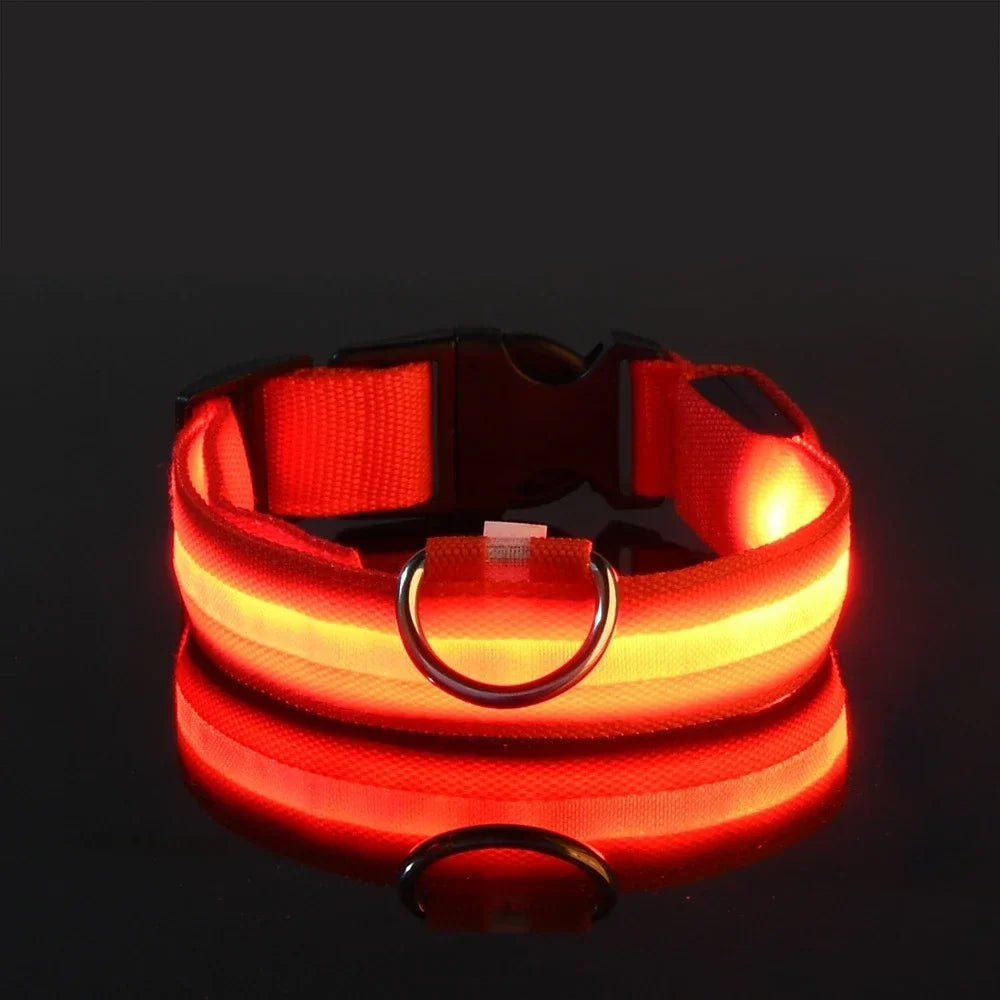 Lysende LED-halsbånd for hund