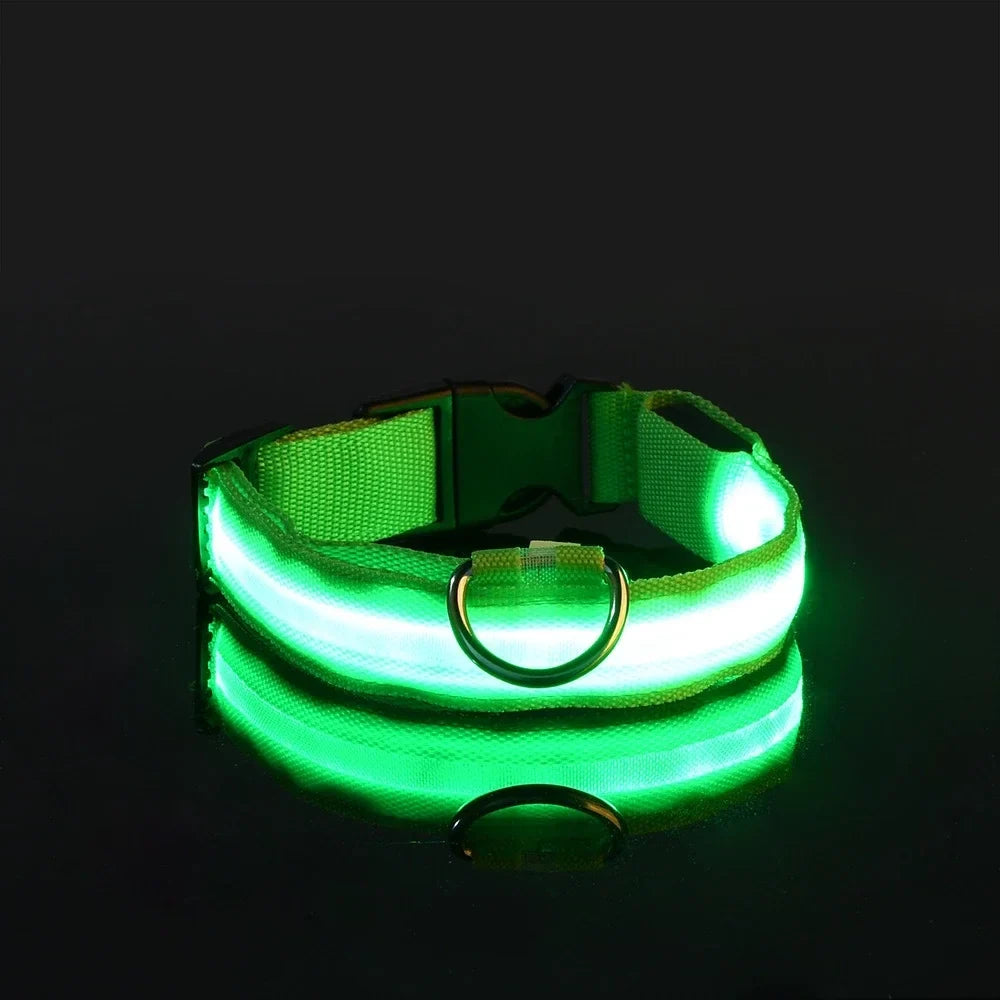 Lysende LED-halsbånd for hund