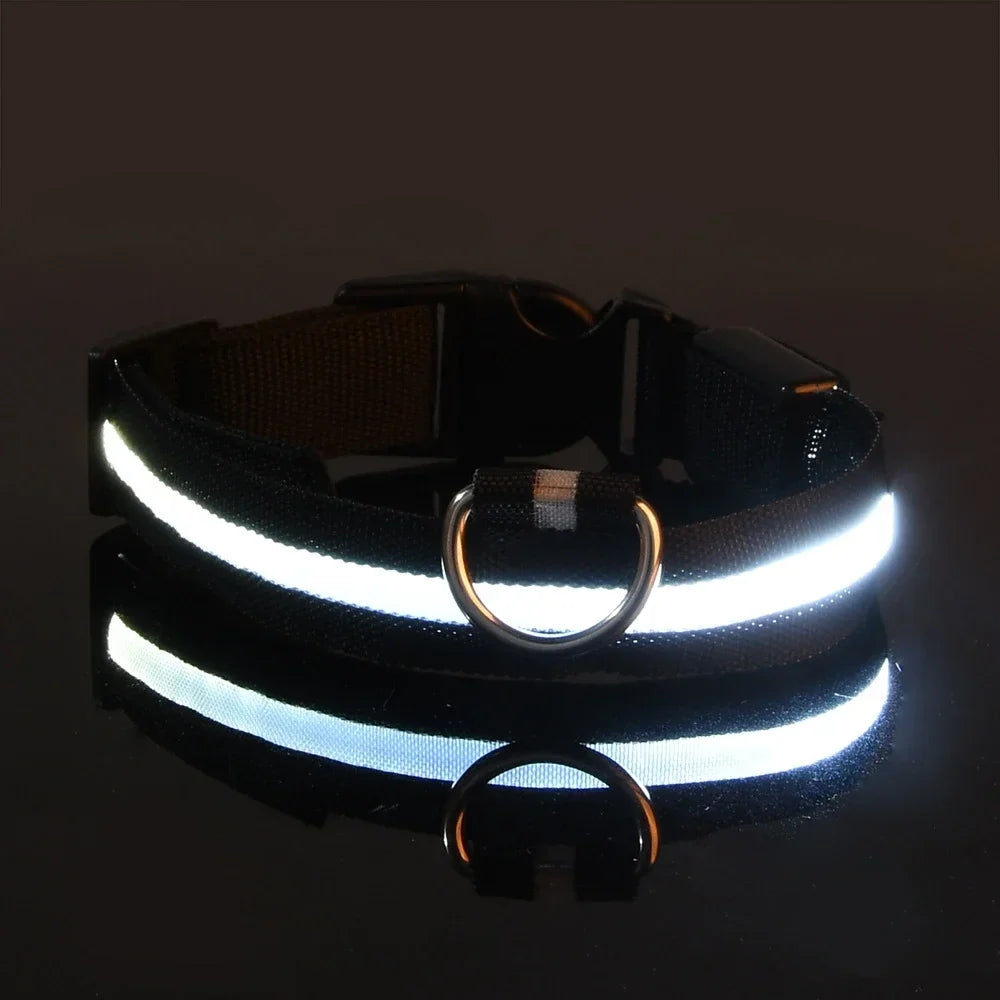 Lysende LED-halsbånd for hund