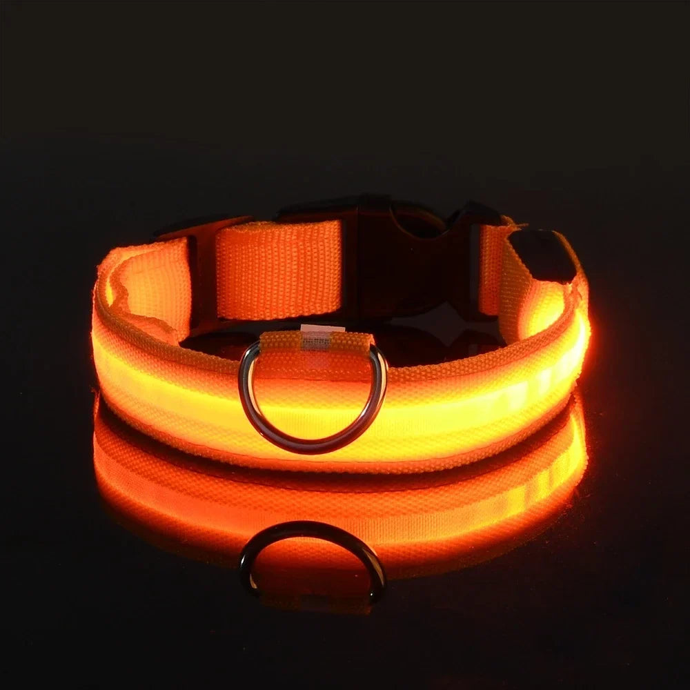 Lysende LED-halsbånd for hund