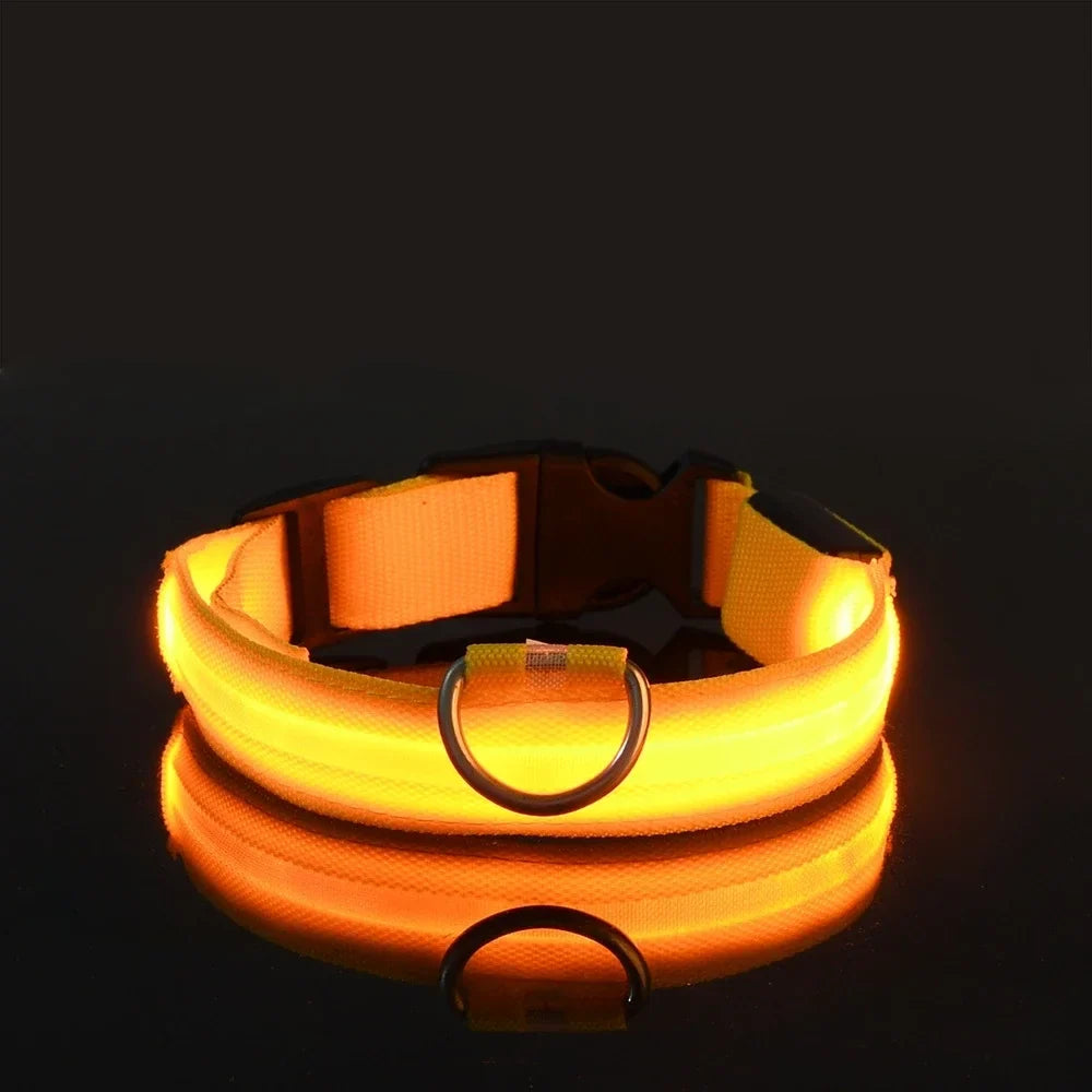 Lysende LED-halsbånd for hund