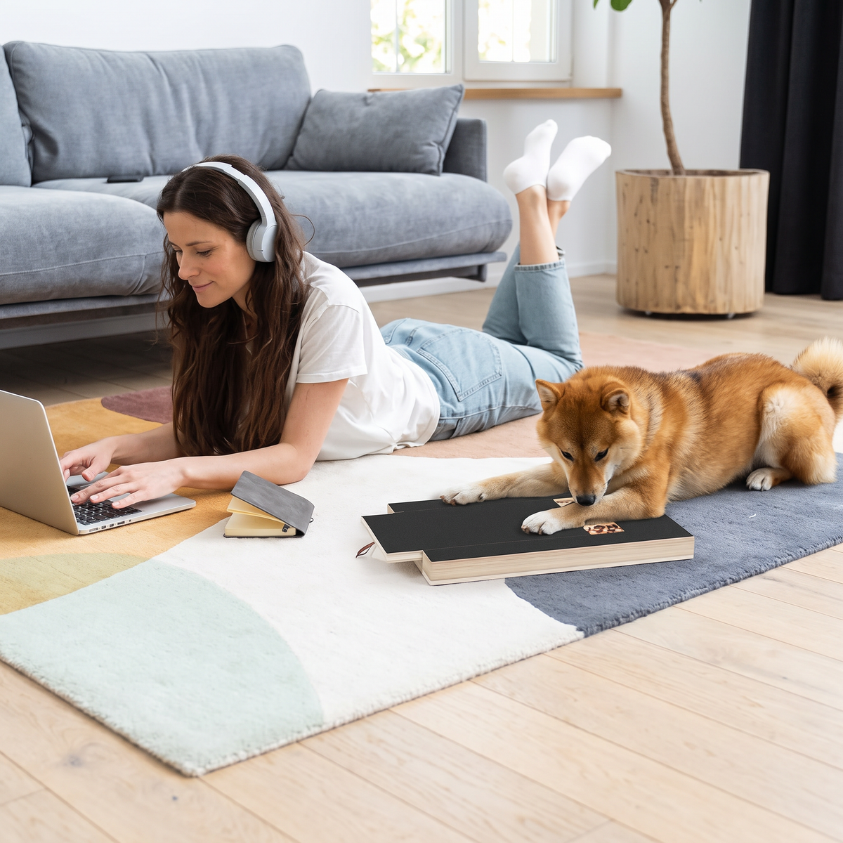 Klofilebrett for hund – kortere klør uten stress