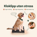 Klofilebrett for hund med godbitskuff